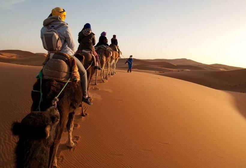 اتاق استاندارد, Luxurious Desert Camp