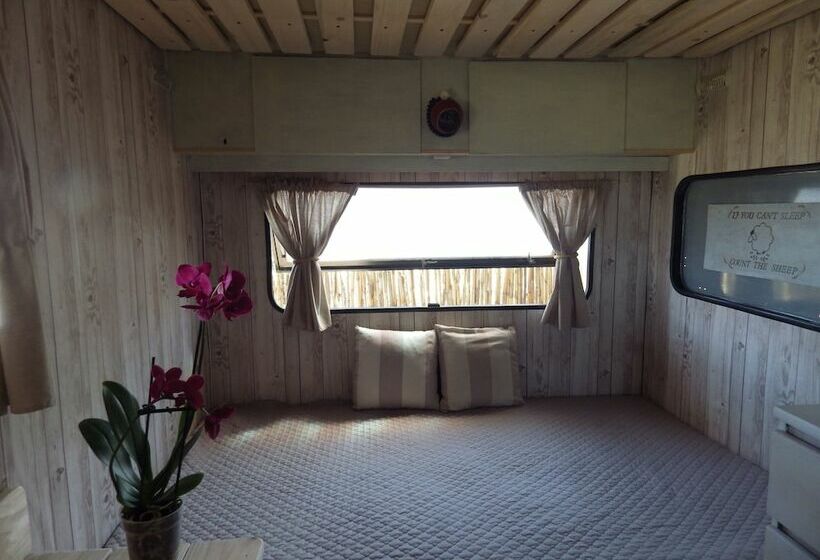آپارتمان اکونومی 1 خوابه, La Cera Farm Camping B&b