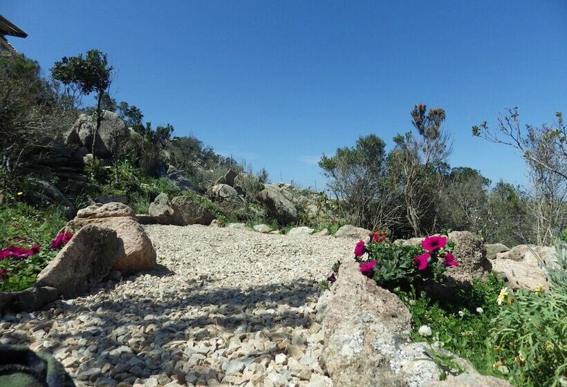 آپارتمان اکونومی 1 خوابه, La Cera Farm Camping B&b