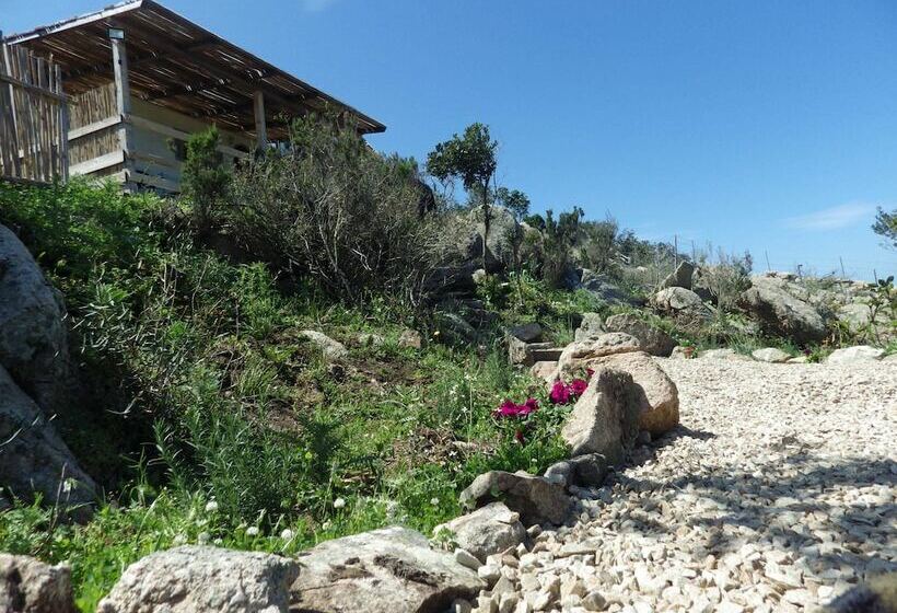آپارتمان اکونومی 1 خوابه, La Cera Farm Camping B&b