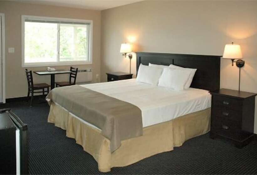 اتاق استاندارد با تخت دوبل, The Beach Inn Motel