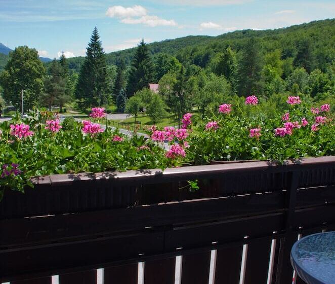 اتاق استاندارد با چشم‌انداز کوهستان, Plitvice Miric Inn