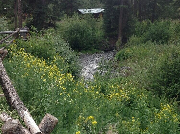 کلبه دلوکس, Yd Guest Ranch