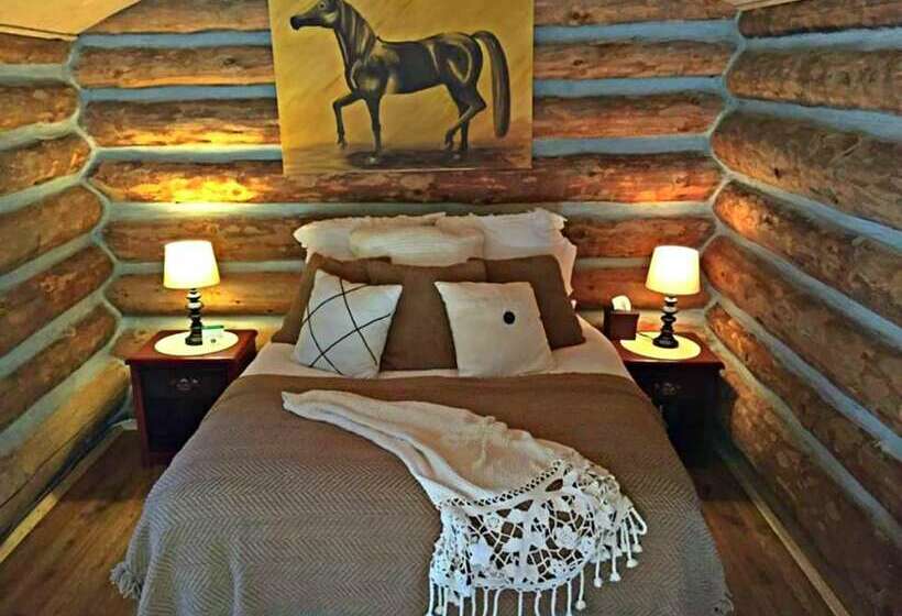 کلبه دلوکس, Yd Guest Ranch