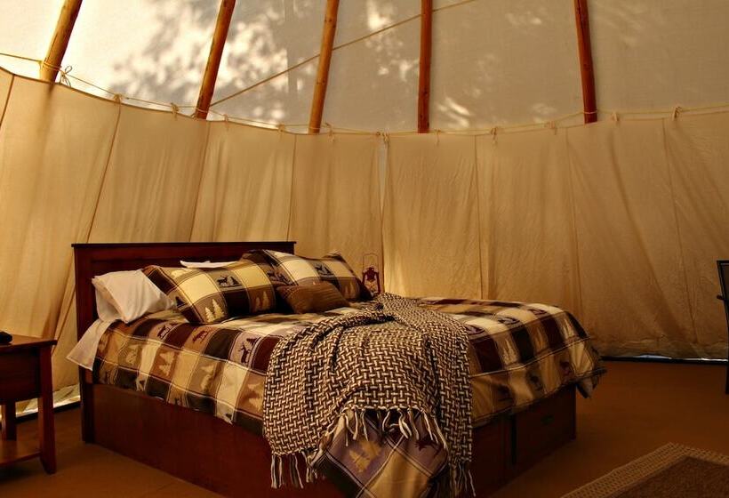 چادر با خدمات رفاهی استاندارد, Yd Guest Ranch