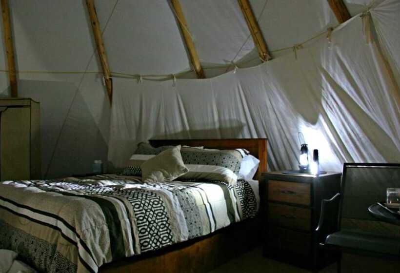 چادر با خدمات رفاهی استاندارد, Yd Guest Ranch