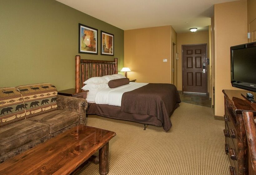 اتاق استاندارد با تخت دوبل, Wilderness At The Smokies   Stone Hill Lodge