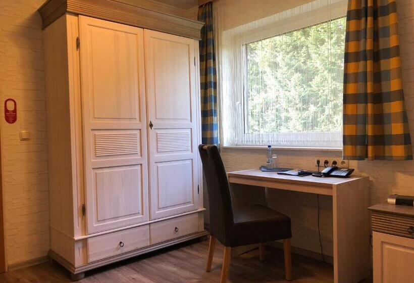اتاق استاندارد یک نفره, Heidekönig Hotel Celle