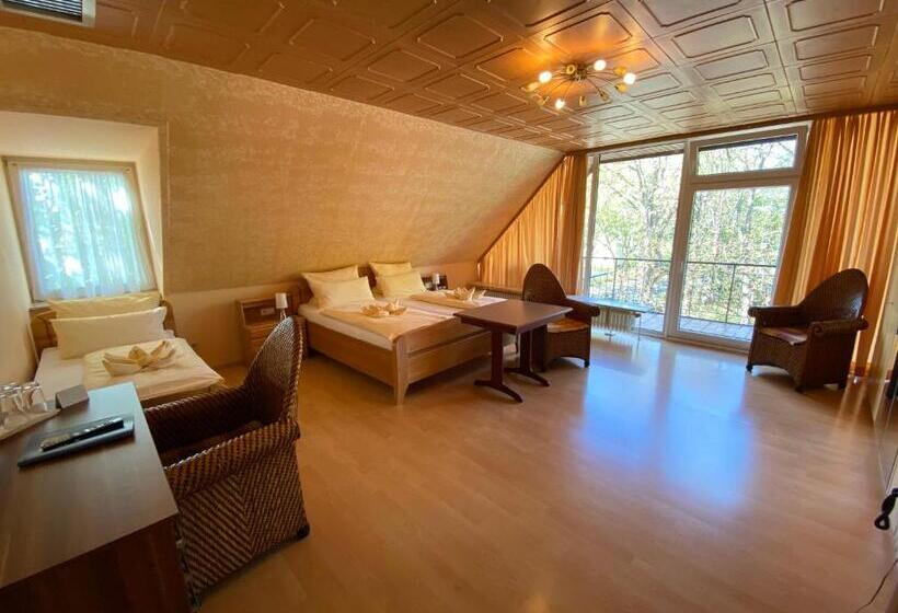 اتاق استاندارد, Heidekönig Hotel Celle