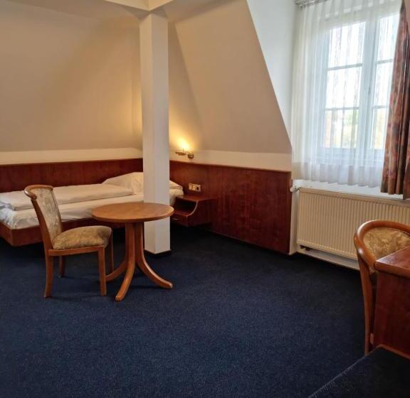 Comfort Single Room, Nassauer Hof