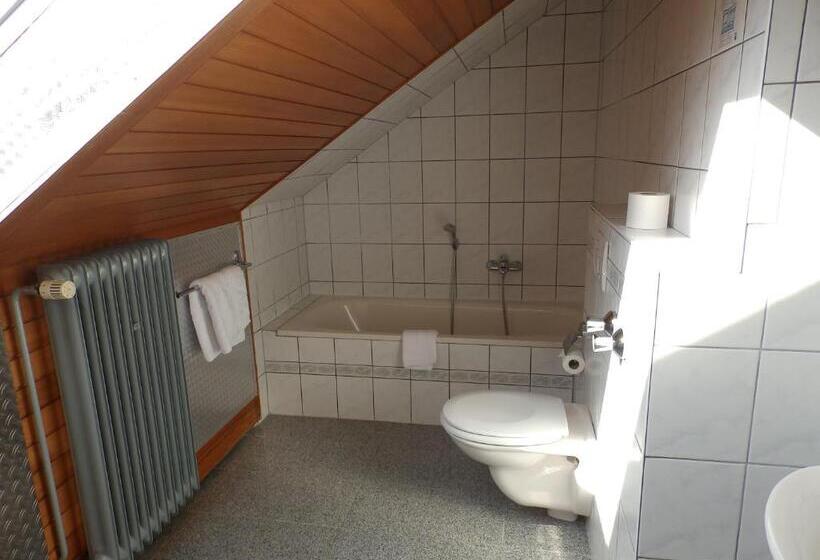 Chambre Economy Individuelle, H41 Inn  Garni Freiburg