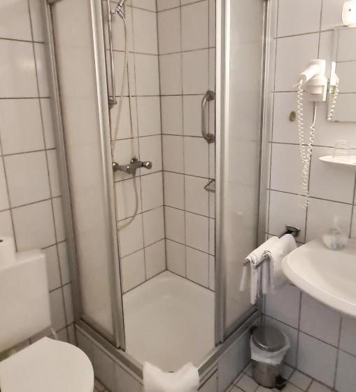 Standard Single Room, Zum Schwan