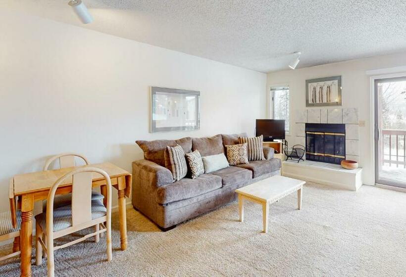 استودیوی استاندارد, Timber Run Vista 2