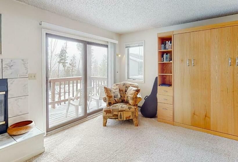 استودیوی استاندارد, Timber Run Vista 2
