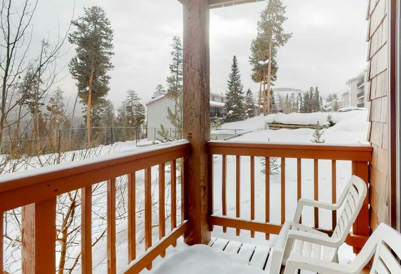 استودیوی استاندارد, Timber Run Vista 2