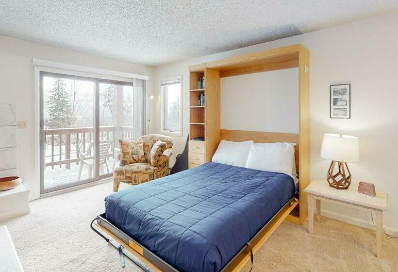 استودیوی استاندارد, Timber Run Vista 2