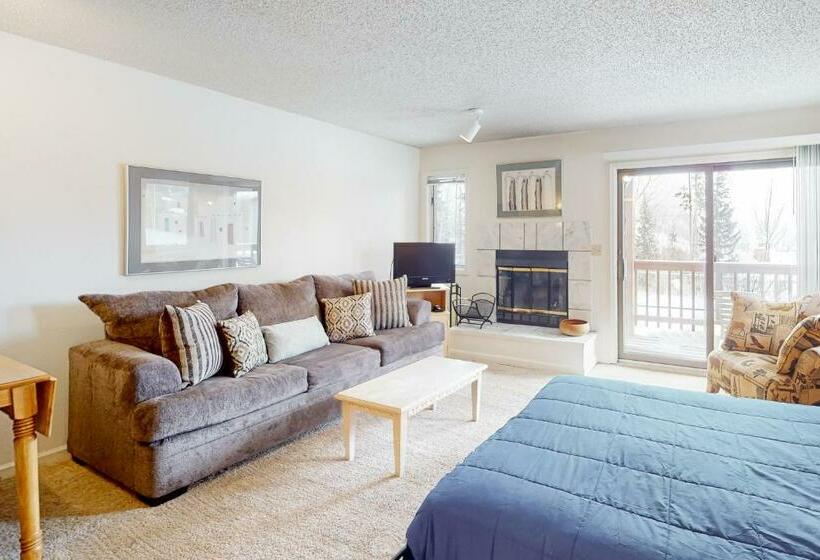 استودیوی استاندارد, Timber Run Vista 2