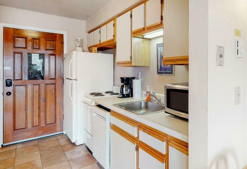 استودیوی استاندارد, Timber Run Vista 2