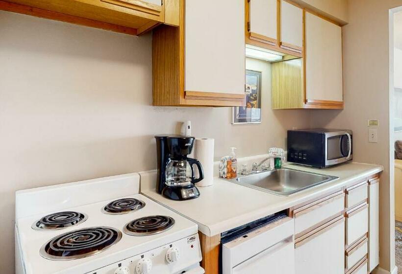 استودیوی استاندارد, Timber Run Vista 2