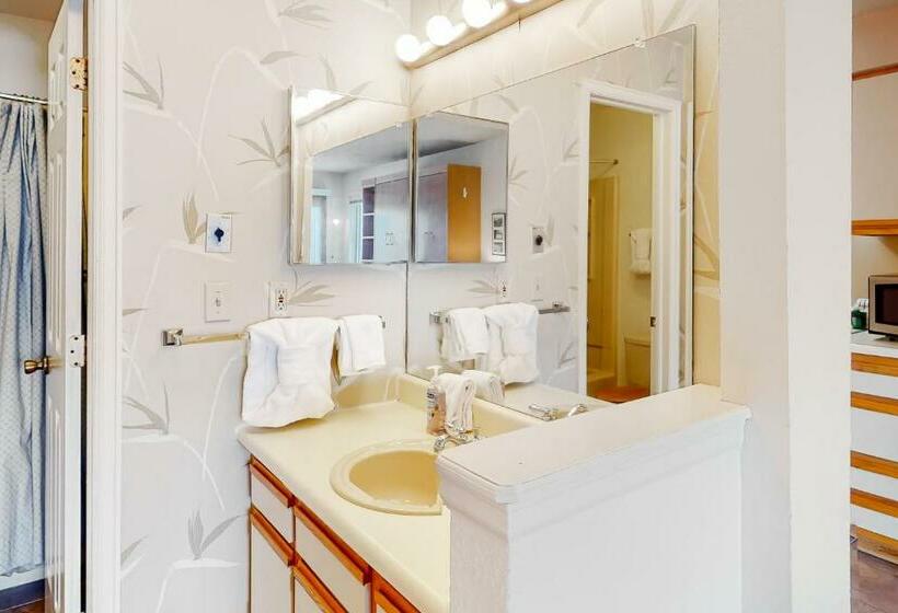 استودیوی استاندارد, Timber Run Vista 2