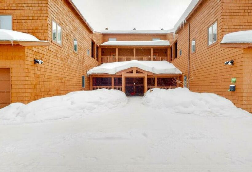 استودیوی استاندارد, Timber Run Vista 2