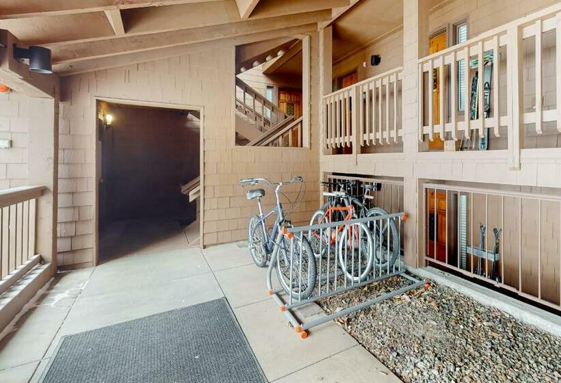 استودیوی استاندارد, Timber Run Vista 2