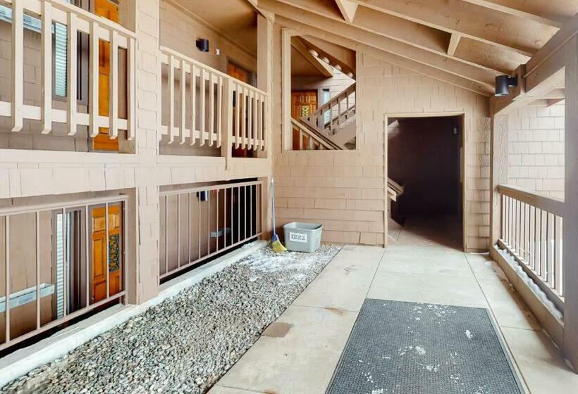استودیوی استاندارد, Timber Run Vista 2