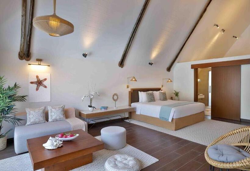 带花园和1个卧室的别墅, Anantara World Islands Dubai Resort