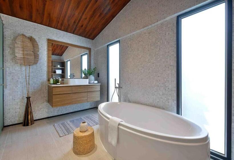 带大床的标准间, Anantara World Islands Dubai Resort