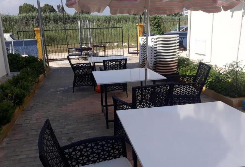 ویلای 1 خوابه, Krali̇yet Konaklari