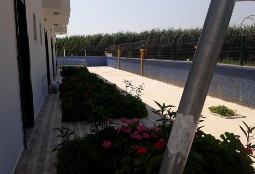 ویلای 1 خوابه, Krali̇yet Konaklari