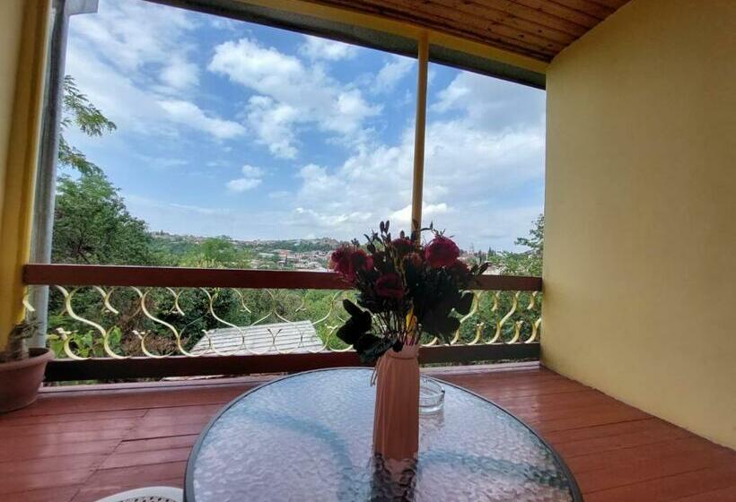 اتاق استاندارد با تراس, Guesthouse   Door   In Sighnaghi