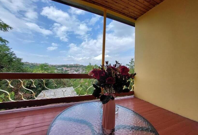 اتاق استاندارد, Guesthouse   Door   In Sighnaghi