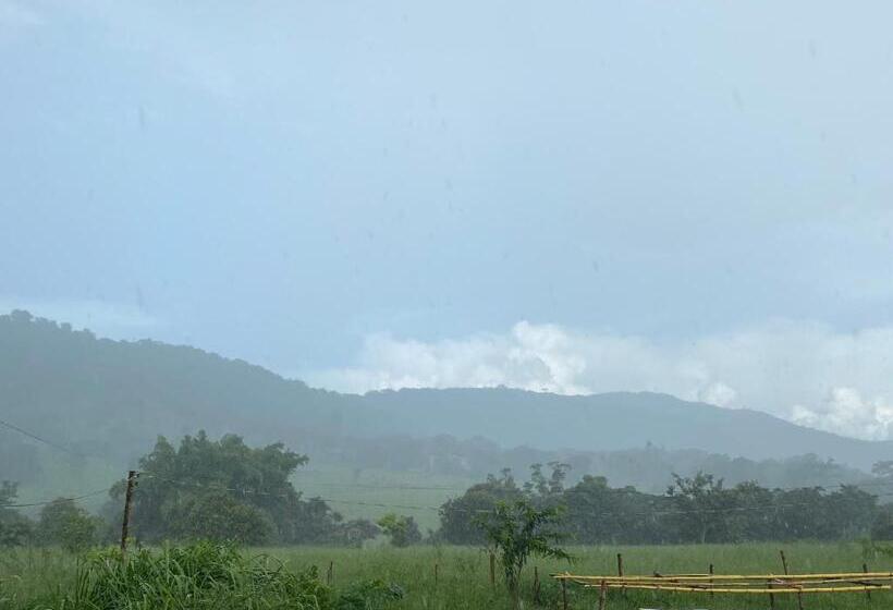 اتاق لوکس, Pousada Vila Das Oliveiras