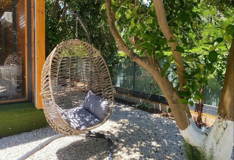 اتاق استاندارد چهارنفره با چشم‌انداز باغ, Collesium Garden