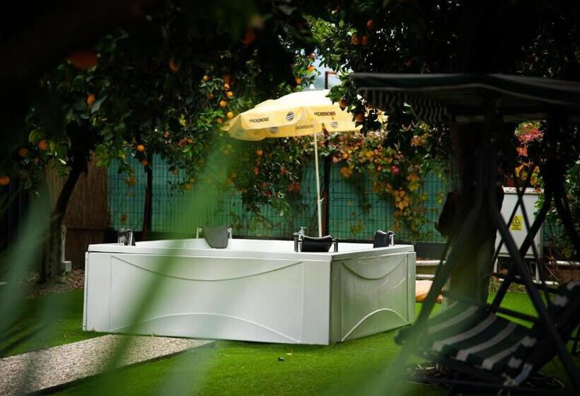 اتاق استاندارد چهارنفره با چشم‌انداز باغ, Collesium Garden