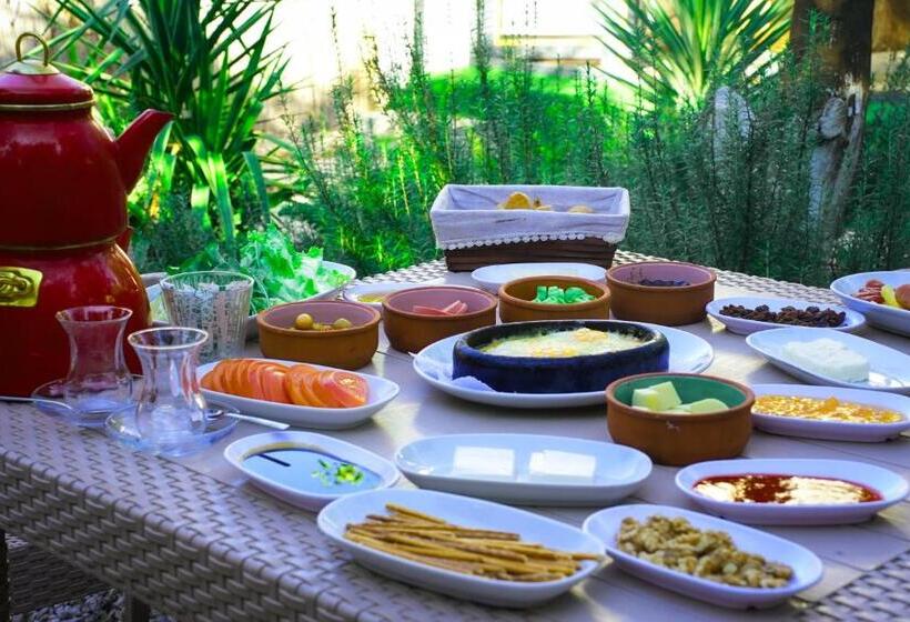 اتاق استاندارد چهارنفره با چشم‌انداز باغ, Collesium Garden