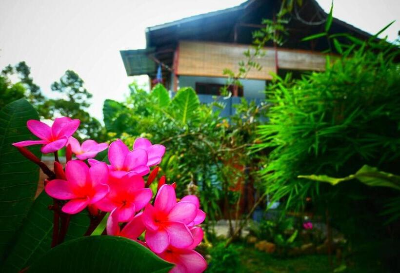 اتاق سوپریور با تخت بزرگ, Sumatra Orangutan Discovery Villa