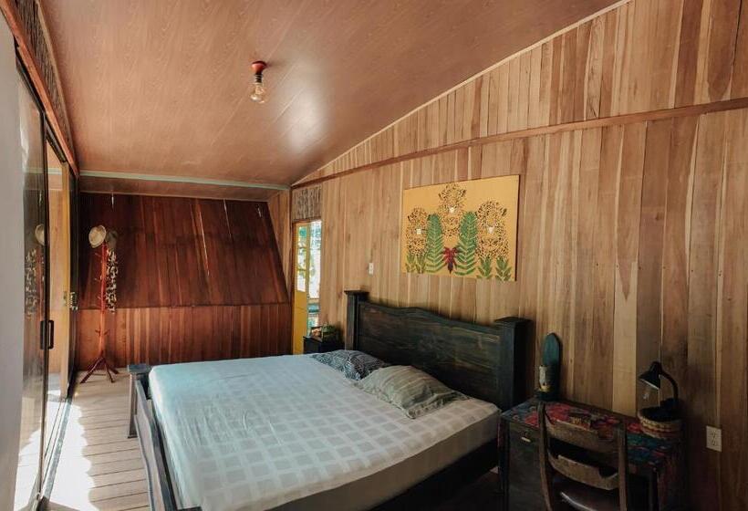اتاق استاندارد با تخت بزرگ, Orgánico Punta Riel