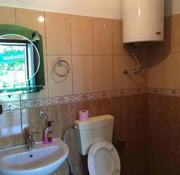 آپارتمان 1 خوابه با چشم‌انداز باغ, Villa Balliu