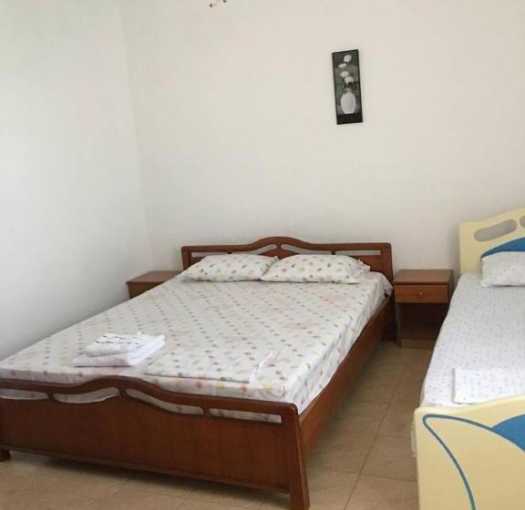 آپارتمان 1 خوابه با چشم‌انداز باغ, Villa Balliu