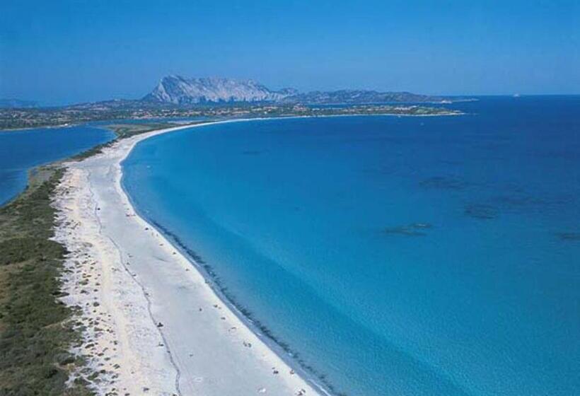 اتاق استاندارد سه نفره, Room In Guest Room   Super Comfort Room In Sardinia   Italy