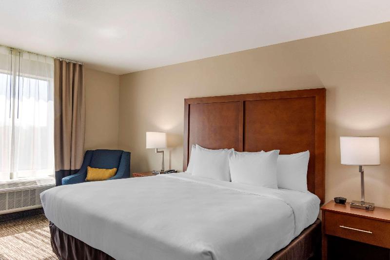 اتاق استاندارد با تخت بزرگ, Comfort Inn & Suites