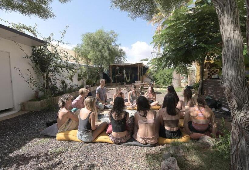 اتاق استاندارد, Hostel Los Amigos Yoga & Wellness