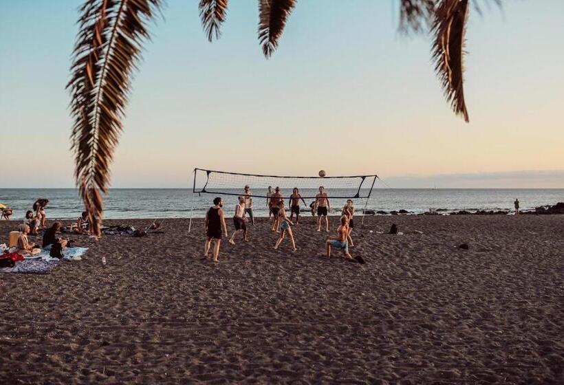 اتاق استاندارد, Hostel Los Amigos Yoga & Wellness