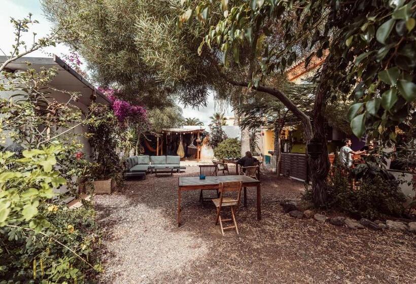 ویلای 1 خوابه با چشم‌انداز دریا, Hostel Los Amigos Yoga & Wellness