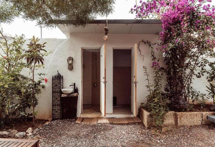 اتاق استاندارد با سرویس بهداشتی مشترک, Hostel Los Amigos Yoga & Wellness