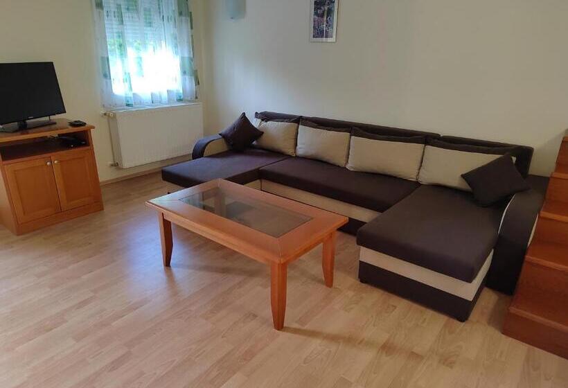 آپارتمان 1 خوابه با تراس, Garda Wellness Apartmanház