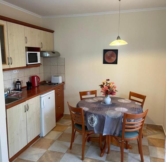 استودیو استاندارد با تراس, Garda Wellness Apartmanház