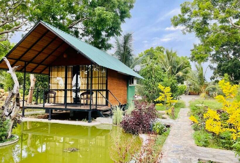 کلبه ییلاقی, Kaaya Eco Resort Yala